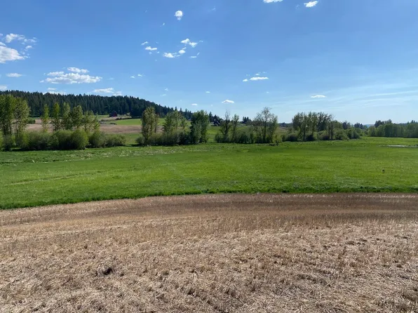 902X Little Deep Creek Ln Lot 1, Colbert, WA 99005