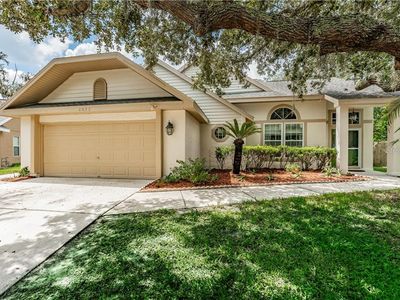 4033 Quail Briar Dr, Valrico, FL, 33596