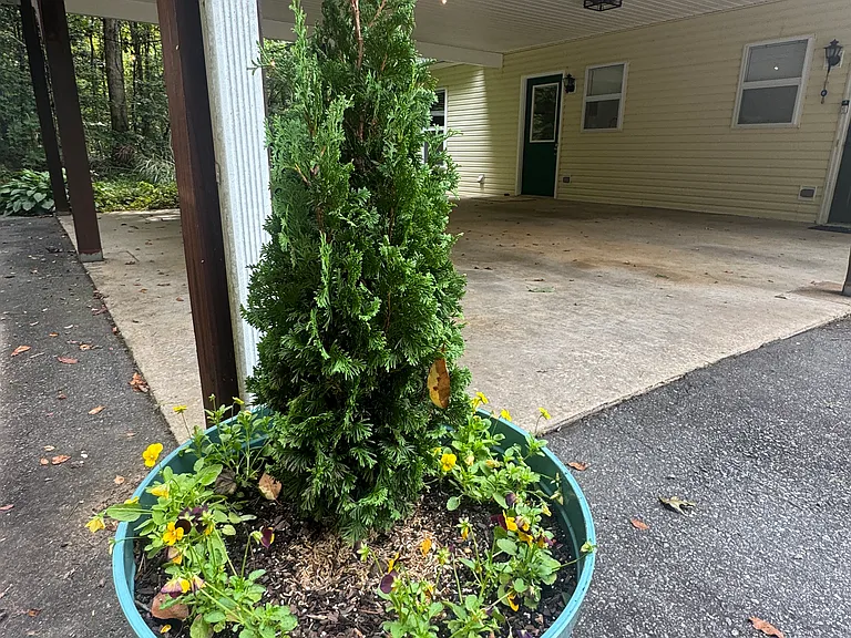 17 Tree Canopy Ln — Photo 16