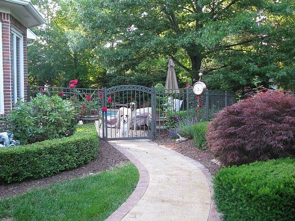 fenced yard