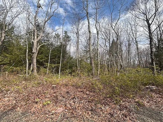 LOT A339 Aspen Dr photo 1