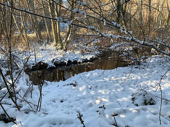 small creek in green belt