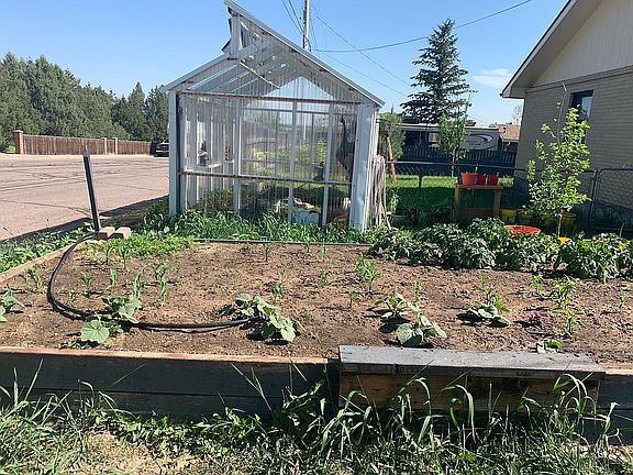 Raised bed east yard