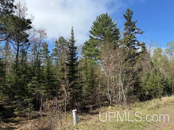 37 Harbor Coast Ln, Copper Harbor, MI 49918