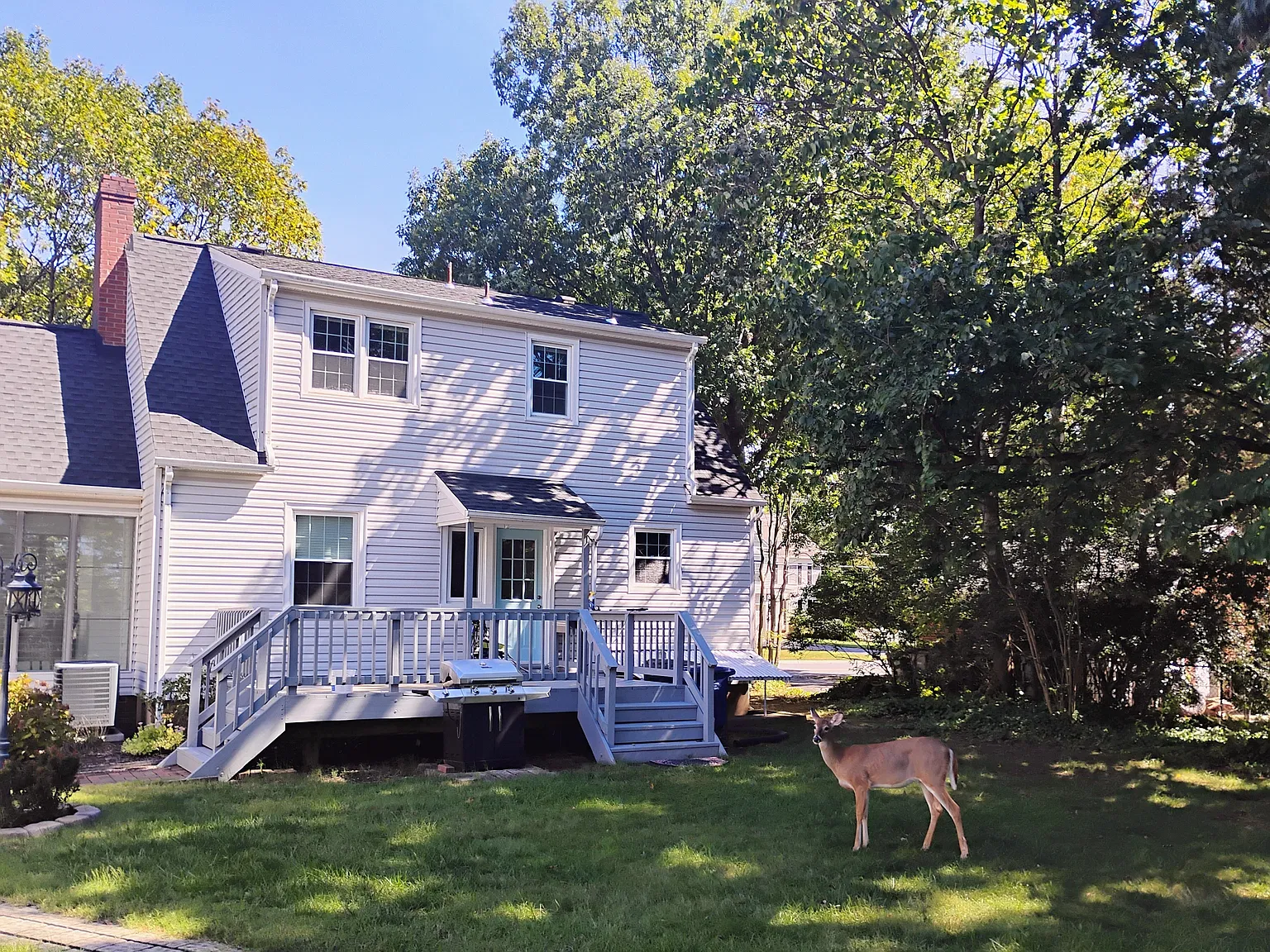 2 bed, 1.5 bath, 1080 sqft, $3,000 — Photo 3