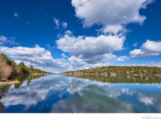 365 Pennsylvania Gulch Rd, Unincorporated, CO 80466