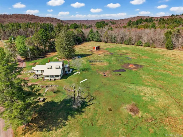 85 Lenape Lake Road, Livingston Manor, NY 12758