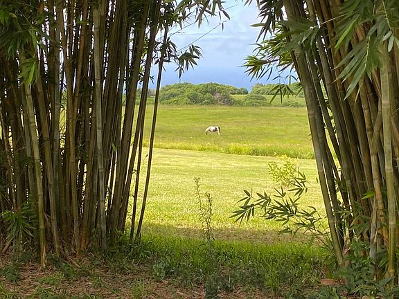 4th image of 55-3277 Puu Mamo Dr Lot 12-B
