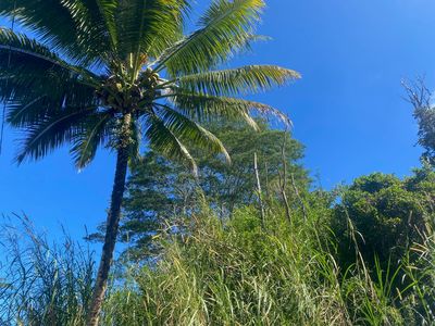Hee St, Pahoa, HI, 96778