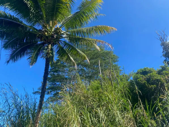 Hee St Lot 13, Pahoa, HI 96778