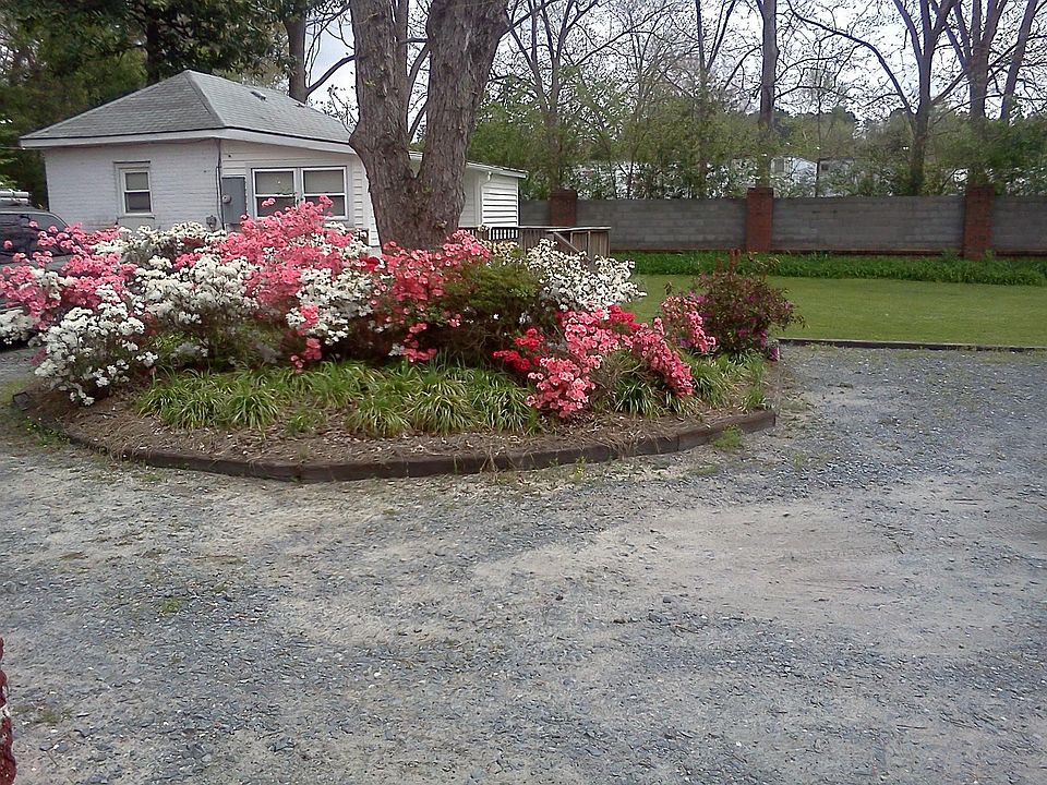 Cottage in the spring