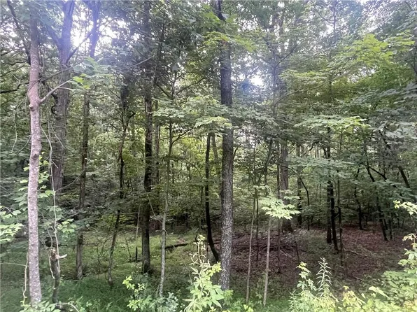 0 Tyler Dr Lot 2, Talking Rock, GA 30175