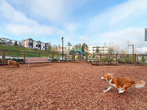 1,000 square feet of play area