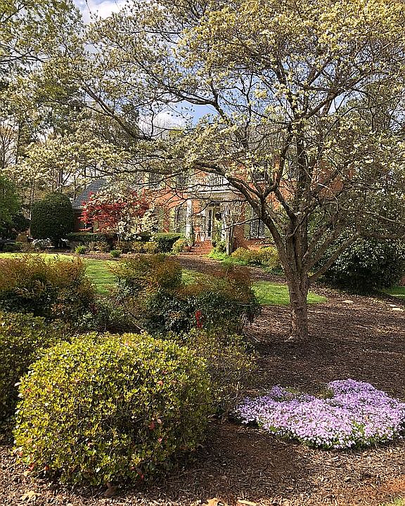 Front yard in Spring 