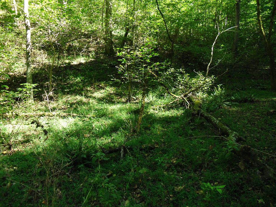2nd image of Cub Dr