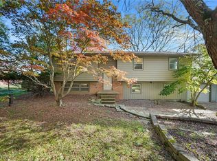 3957 Nichols Rd, Medina, OH 44256