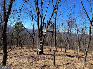 Nathaniel Mountain Rd, Moorefield, WV 26836