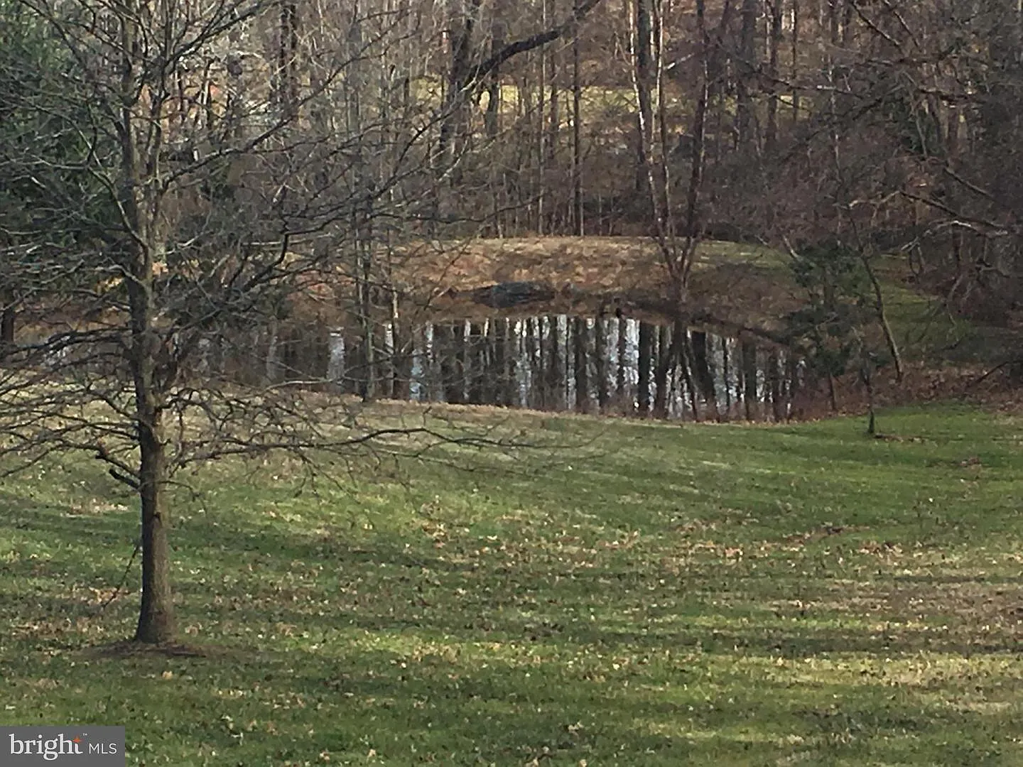 1 bed, 3500 sqft, $1,375 — Photo 3