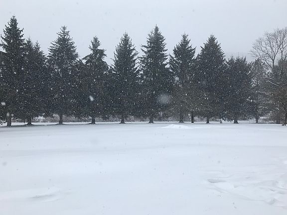 Front yard in wintertime.