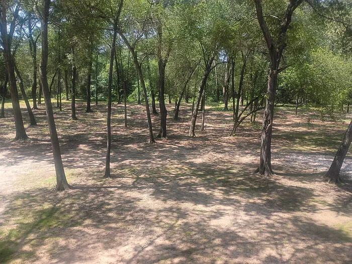 738 Old Pin Oak Rd — Photo 12