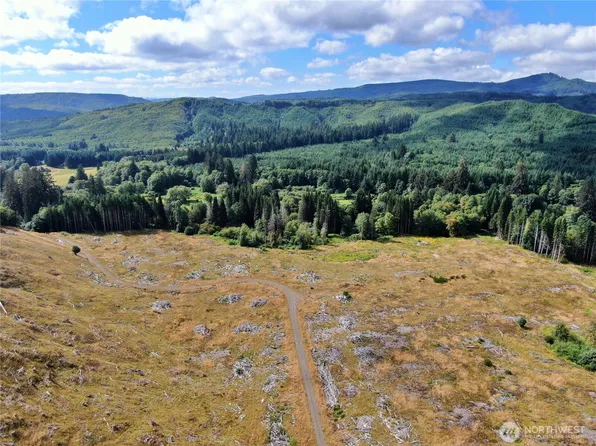 0 NKA North River Road, Cosmopolis, WA 98537