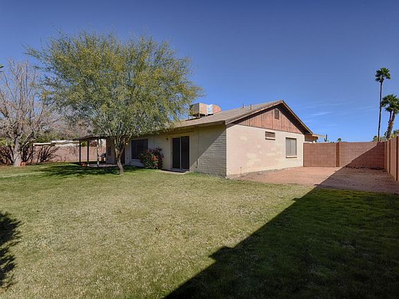 Backyard 3