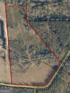 0 Thorn Bird Rd, Millwood, GA, 31552