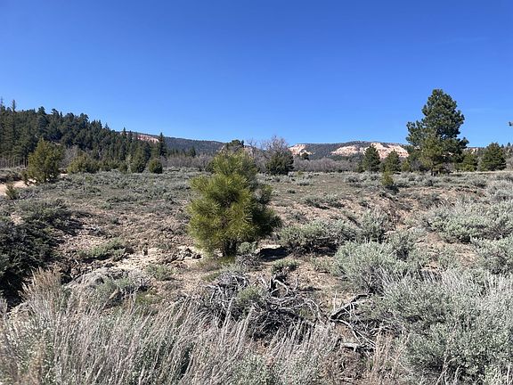 3rd image of 257 N Gobbler Loop
