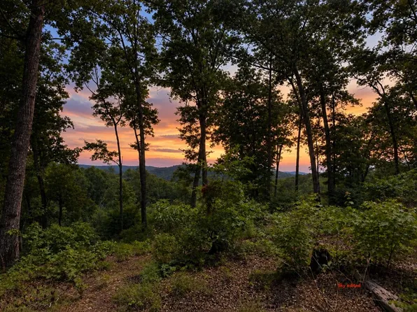 20 Lake Top Ln, Ellijay, GA 30540