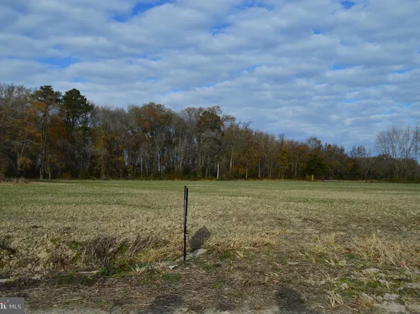 4314 Messick Rd, Rhodesdale, MD 21659