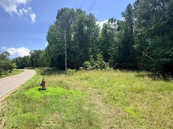 County Road 49, Beaverton, AL 35544