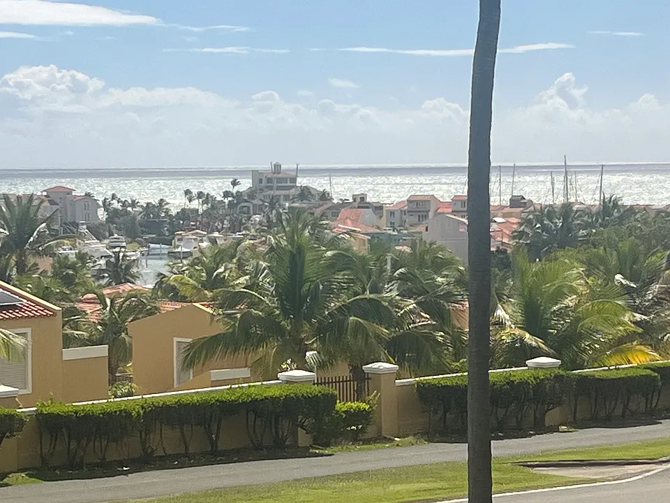 C4 La Jolla Palmas Del Mar Dr