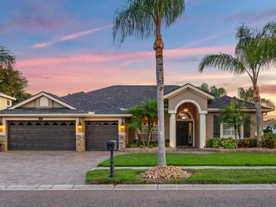 16544 Ivy Lake Dr, Odessa, FL, 33556