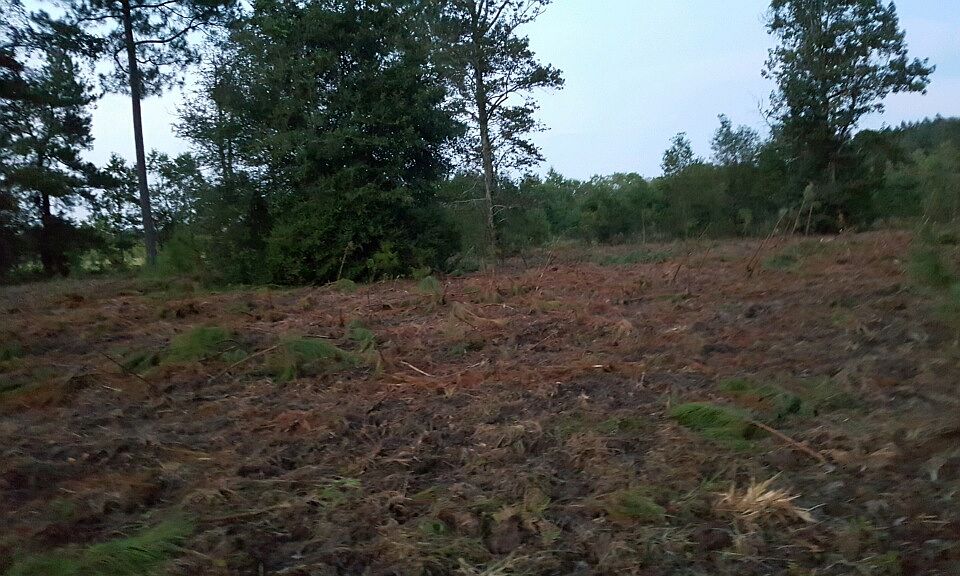 1st image of Balderas Rd