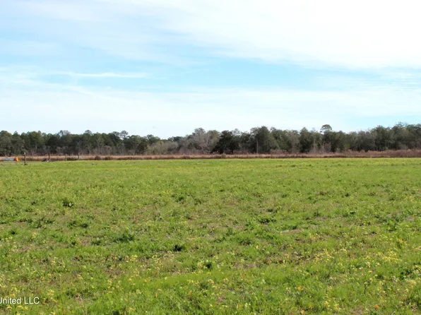 Yellow Bluff Rd, Lucedale, MS 39452