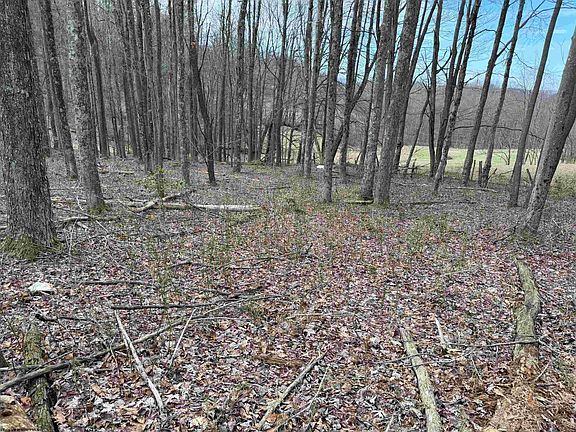 2nd image of Mount Hebron Rd