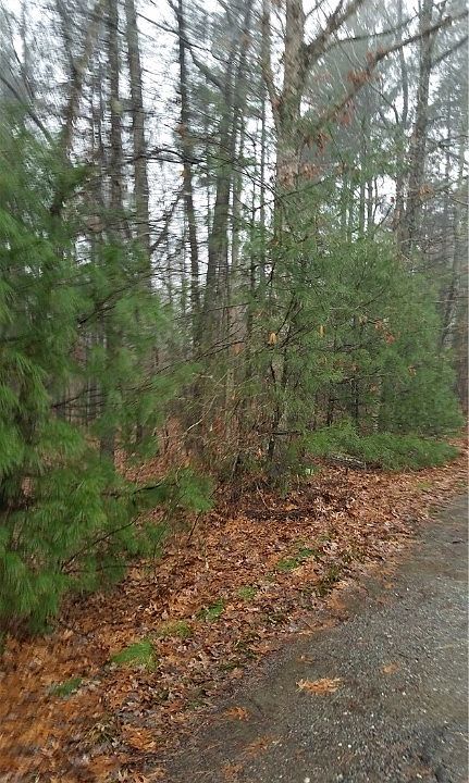 2nd image of TBD Premier Road