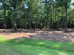 1101 Wassamassaw Plantation Dr, Moncks Corner, SC 29461