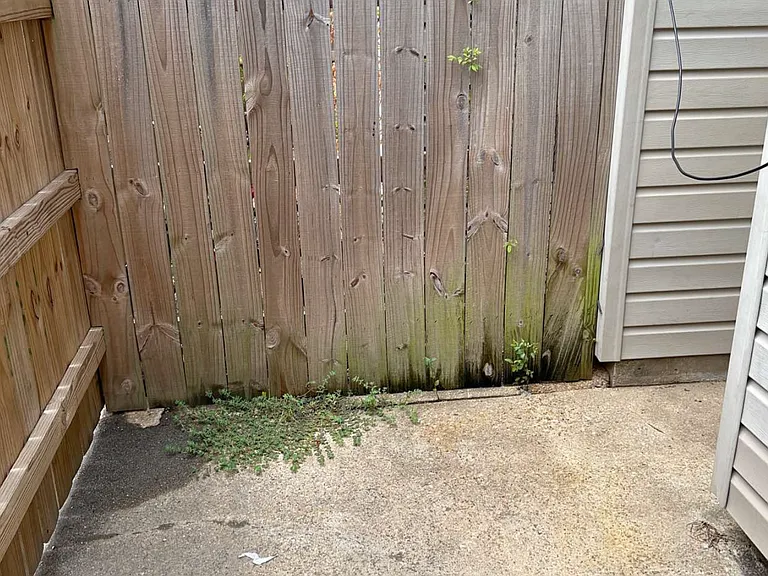 57 W Elmwood Dr #A — Photo 8