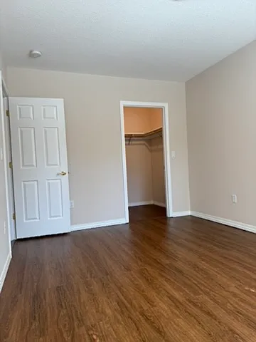 1st BR with walk-in closet