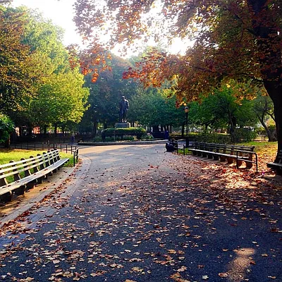 Rented by MNS | media 28