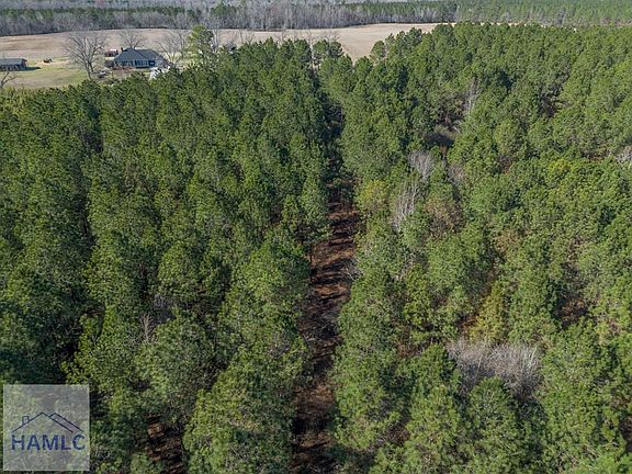 5th image of 1 Ben Giddens Rd