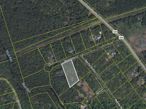 A11 Mushroom Ln, Albrightsville, PA 18210