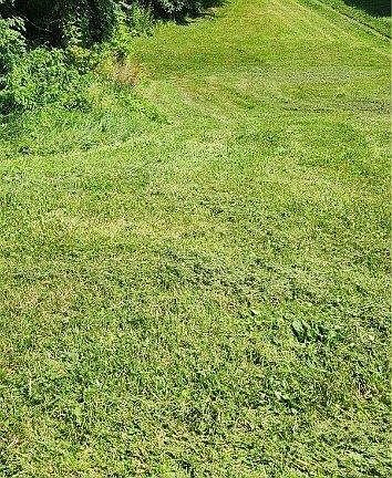 4th image of 513 Orchard Ave