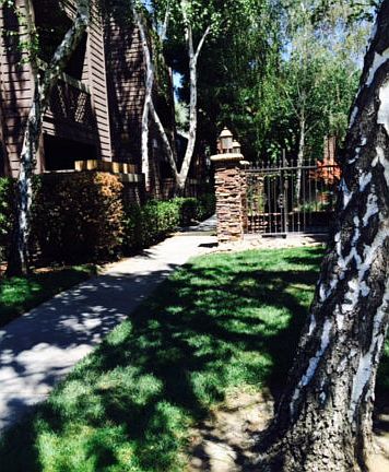 3rd image of 931 Catkin Ct