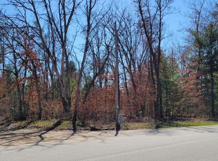 0 W Baldwin Rd, Baldwin, MI 49304