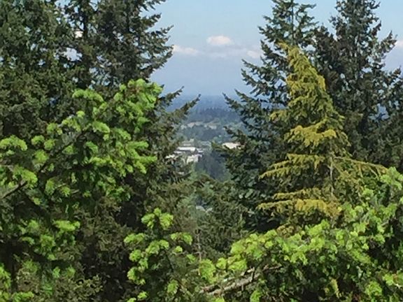 Filtered View of City