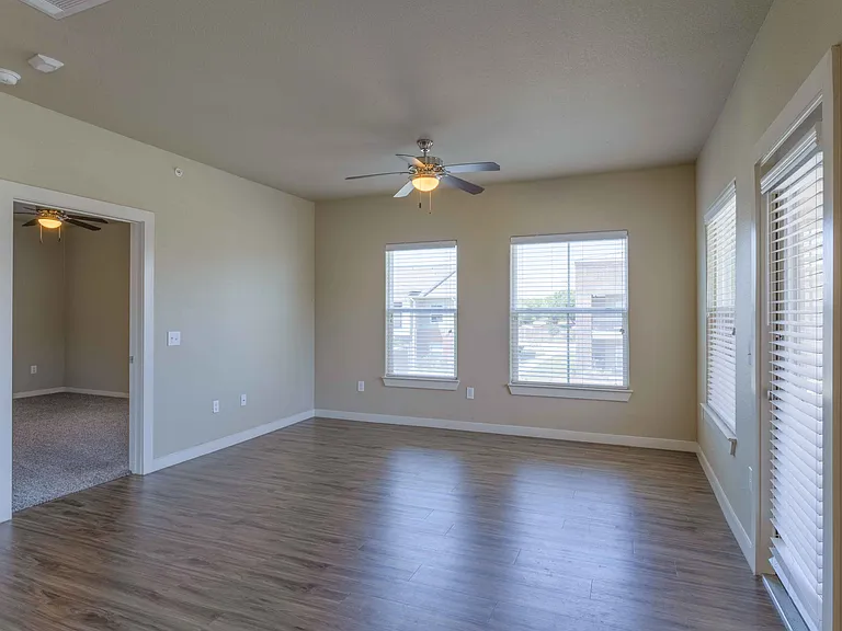 Century Palm Bluff — Photo 25