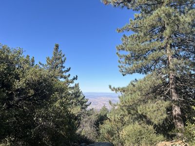 Norwood Idyllwild Pine Cv, Idyllwild, CA, 92549