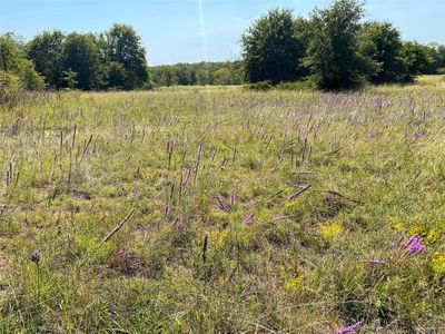 County Road 1650, Chico, TX, 76431